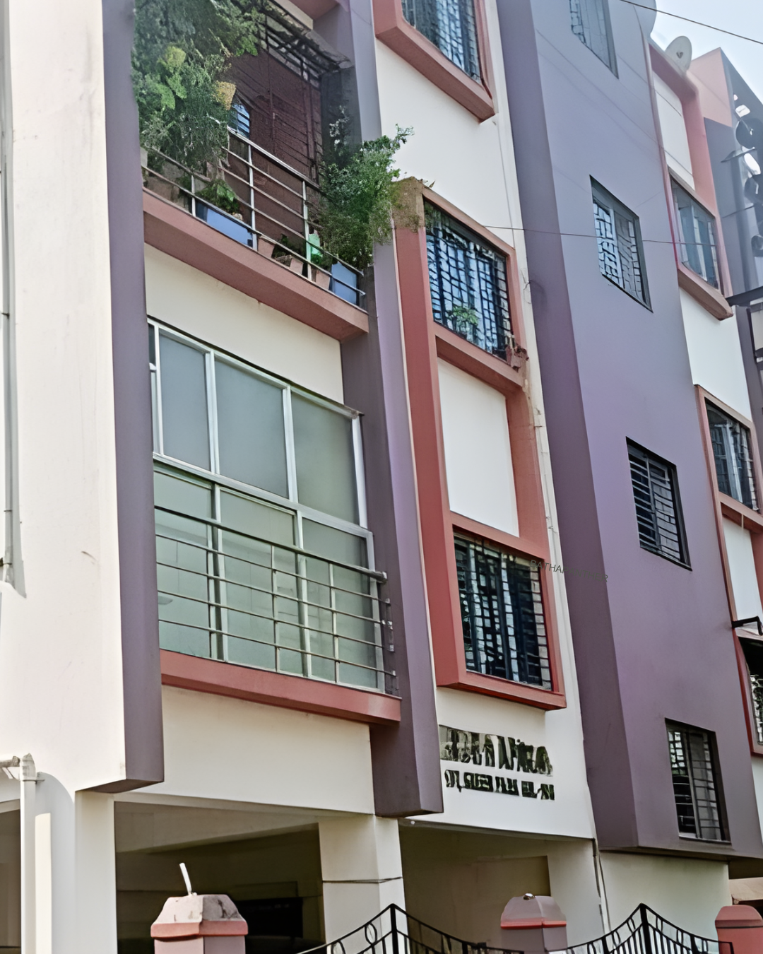 beat the heat how to keep your dog's summer safe in 2025 (45)