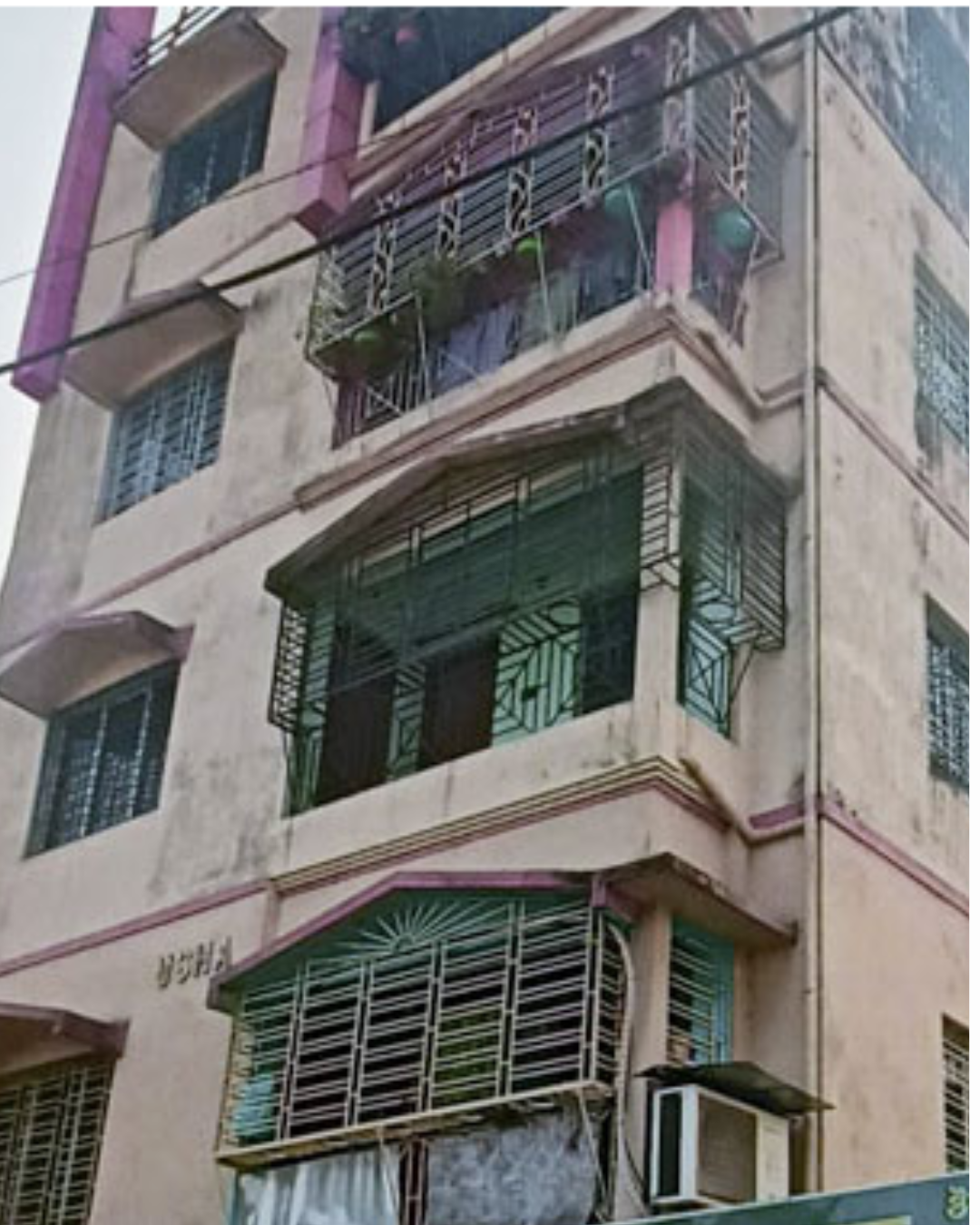 beat the heat how to keep your dog's summer safe in 2025 (48)